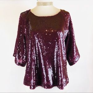 Skies are Shimmer Sequined Top Metallic Sparkle